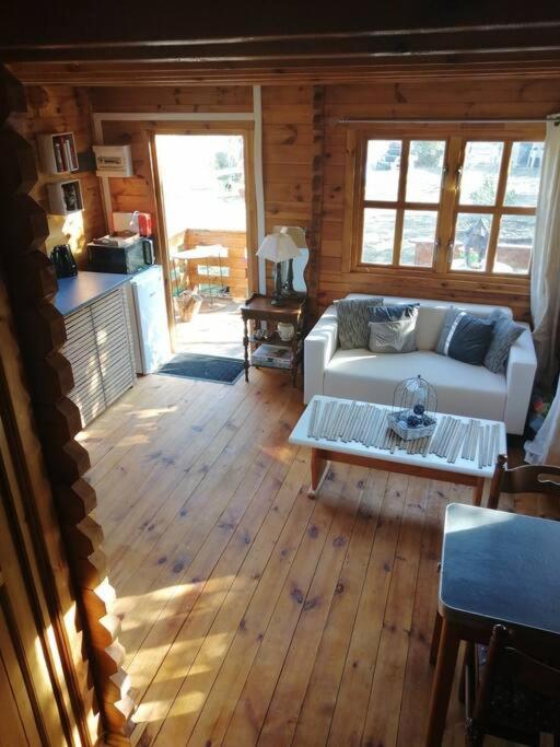 Agreable Chalet En Bois Et Son Exterieur Massay Extérieur photo